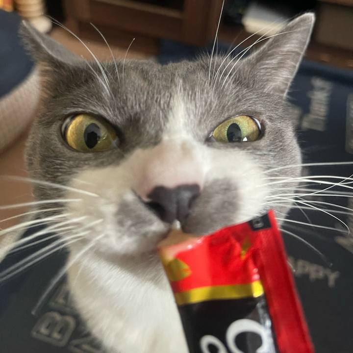 6f20aca7 eea4 4468 8753 1a97200c7f8a 1707632684639