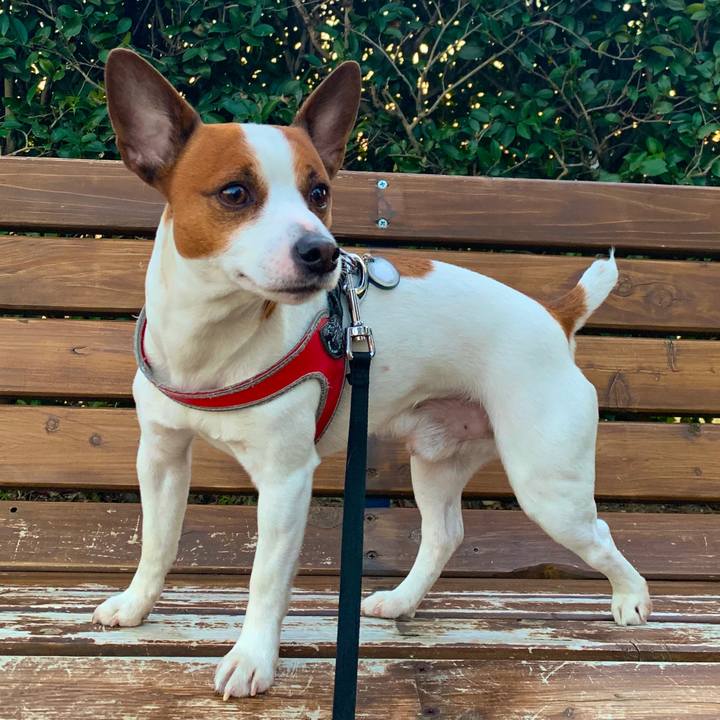 6f20b79e a91e 4cd8 a94a 608b82459192 1550914417997