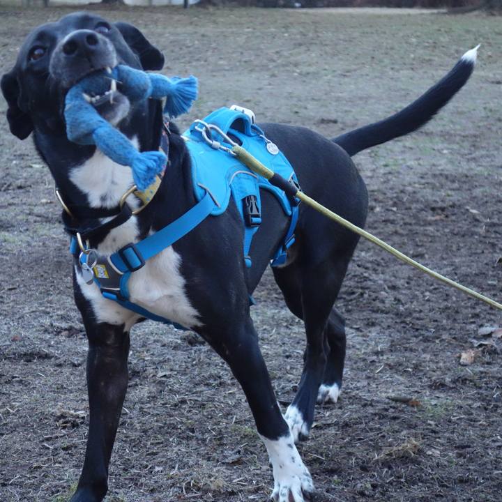 6f20c41c b1e0 4708 a423 e7a8dbc854e6 1613519329059