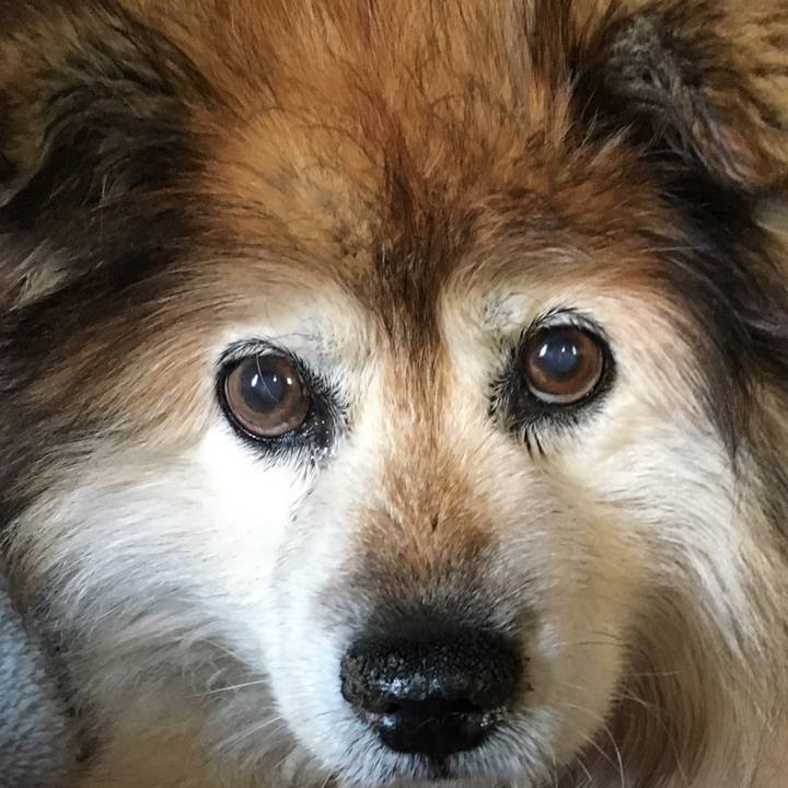 6f20d435 a478 439f 964e 85e25b6a2bee 1622517952367