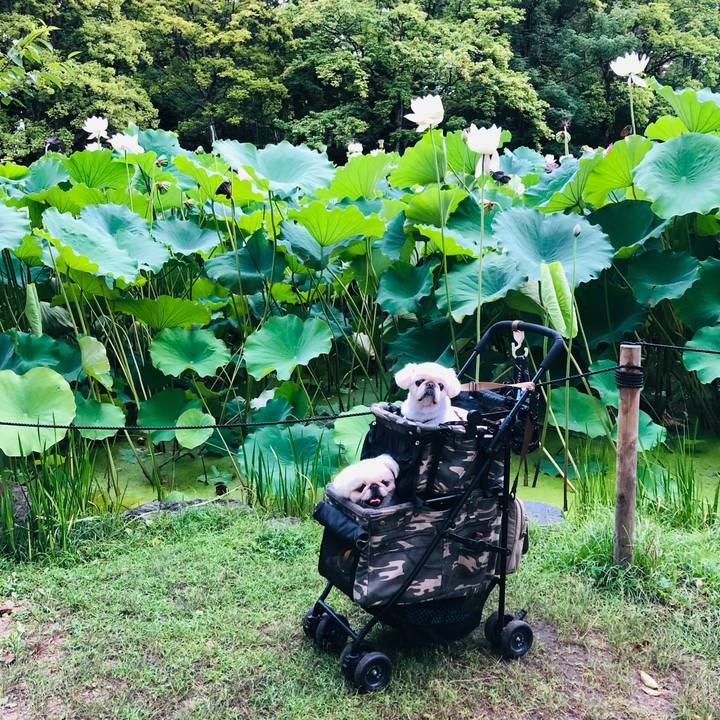 6f20f5e0 d783 4c7d 8bc6 fe156ae84e51 1628553524778