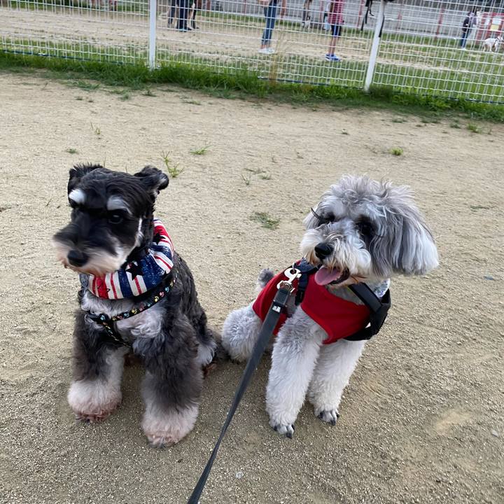 6f21302e c800 4fdd 8571 1bc0546a6d57 1624281869722