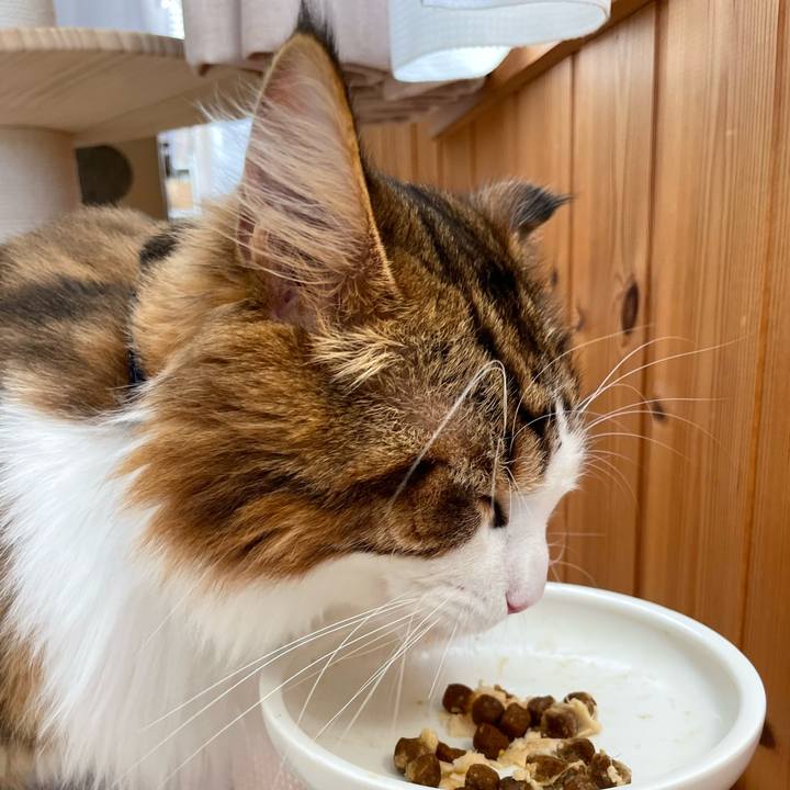 6f216664 96ac 4c35 a1b5 44e2b32cd5ef 1661032736343