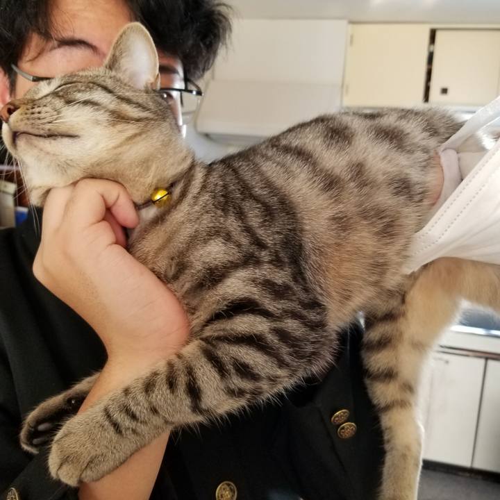 6f219acf 0304 4464 8b91 2575f461a98e 1674484271932