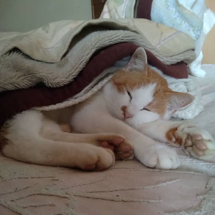 6f21d778 c913 4046 b5c7 66272d79933d 1765522063405