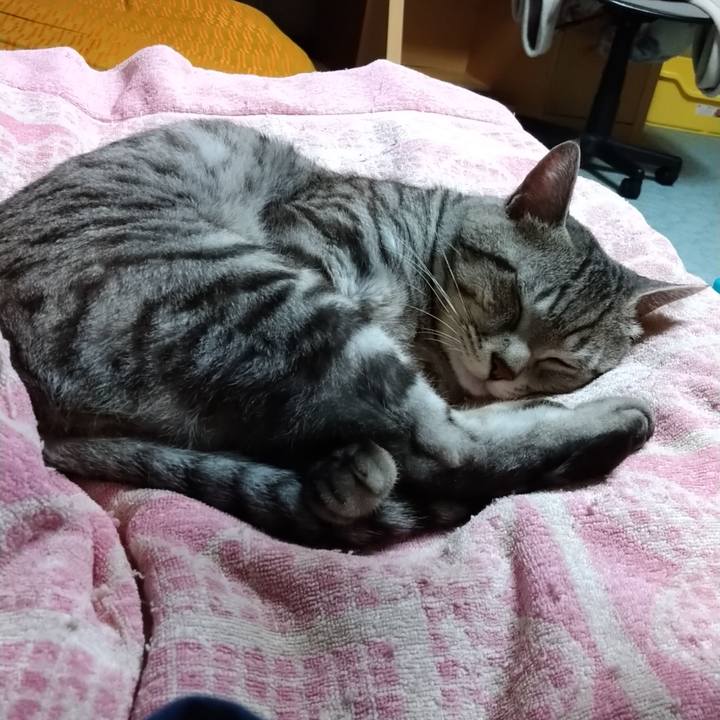 6f220400 f96e 4a22 9d4c 696ae1b38101 1679323926386