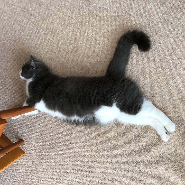 6f221f6c af9b 402b 836d c25c9c2f1f36 1533964534493