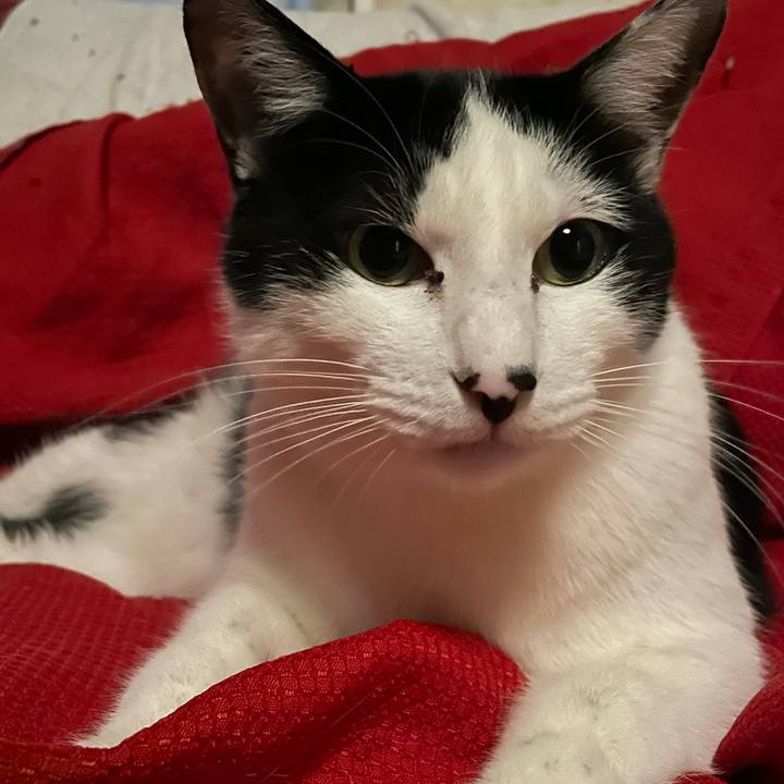 6f2241b5 1b3f 4482 9649 30e88f703a89 1617874190123