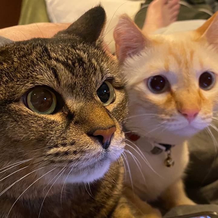 6f229b6e 22ab 48f5 81c5 73d8dddb4c89 1651376725432