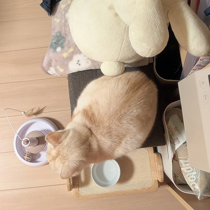 6f22c136 d1ab 44a5 9330 96b57850df12 1767886166572