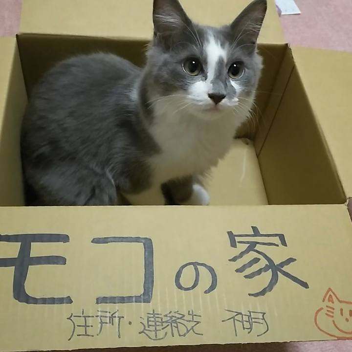 6f22d5e4 d290 4637 9a82 57c2bf40af2b 1568369669850