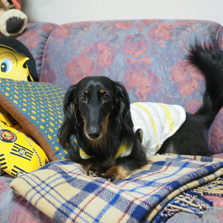 6f235226 3bbd 4b48 a5c3 22542ce1ebd5 1569117771105