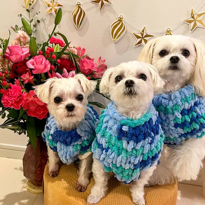 6f23529e 99e9 43d7 b517 4ef3d72b0f60 1670309526371