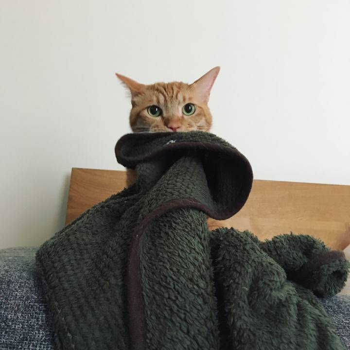 6f235b6c a732 42ea 9e2d 0f45c4334b82 1595069051844