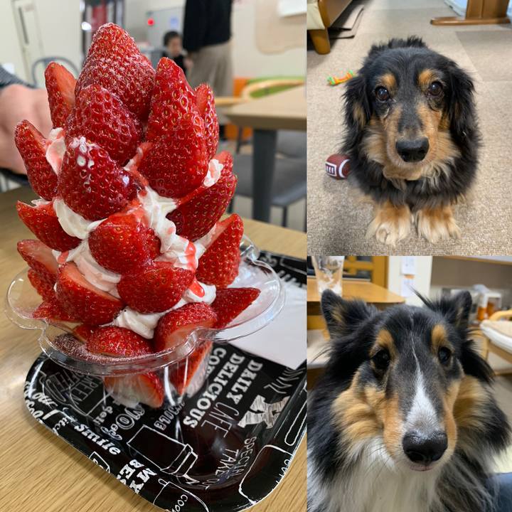 6f2367ba bdb8 423a ac6b 27e1c2eca993 1583030334667