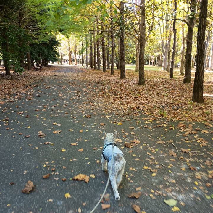 6f23918a 66f7 410e b1b6 153545dab774 1761223323610