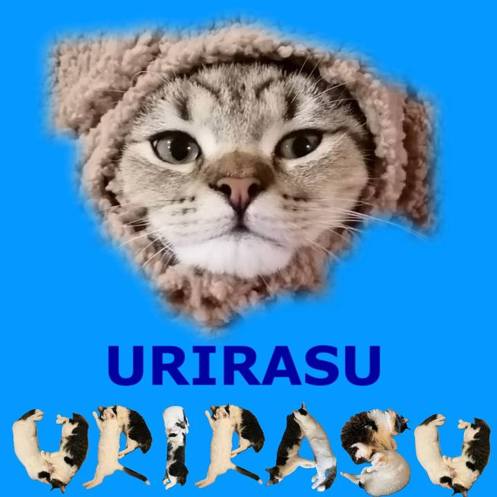 6f239abe 2f4e 4763 a513 e9d0b9a020b7 1667576142545