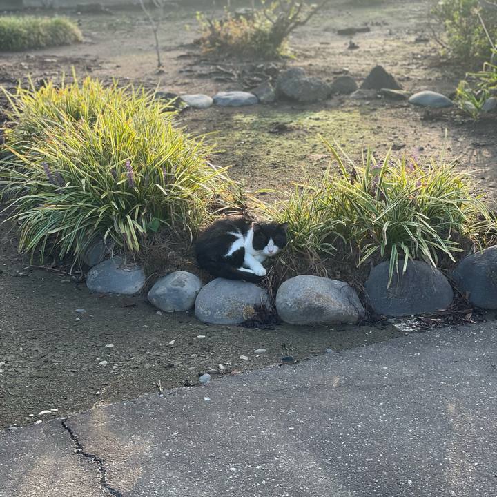 6f23c912 9dc9 4306 a656 82560179b4e5 1694298184233