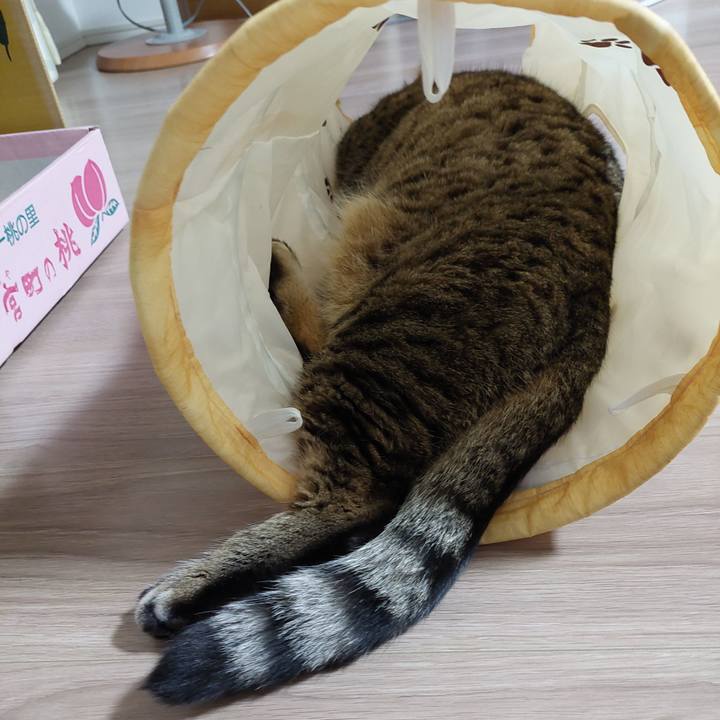 6f23e5ce d3dc 4390 b5de 9e8f68b87855 1669898745121