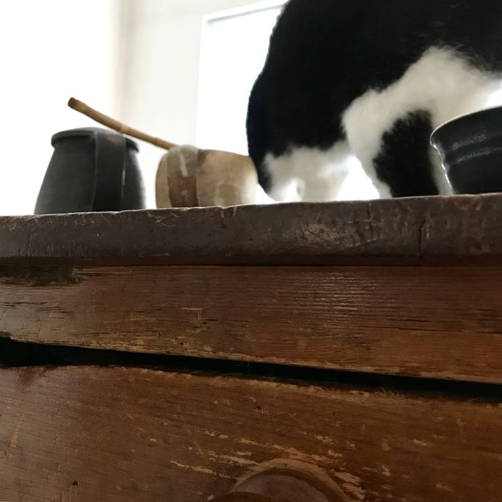 6f23ef1b 453a 4c82 8fdc 3b2a9d850107 1513846045562