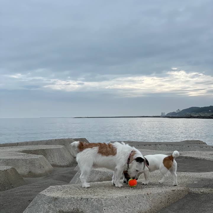 6f244e29 e0b1 40b0 9881 4146a056b279 1621380326314