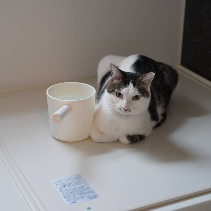 6f248ca4 cbeb 46a3 ad75 0d7f5effdc4f 1582242601795