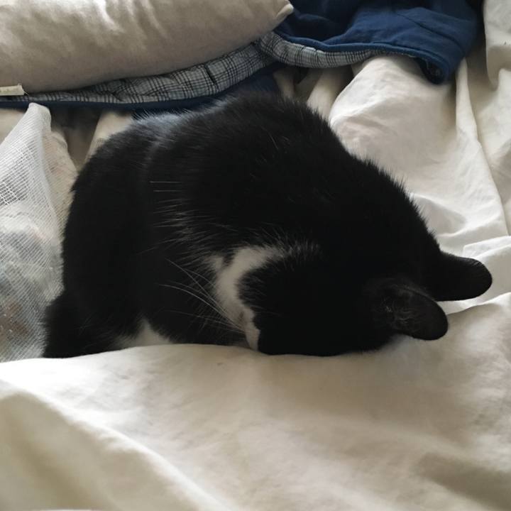 6f248cb5 310c 4a31 a4cd 40ddf3b3368c 1553498775436