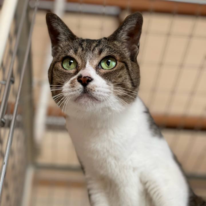 6f24c0ca edde 4785 8395 bdb16ea2636f 1645150451464