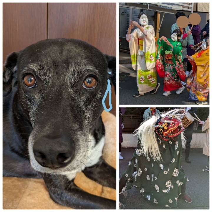 6f24c45c adc5 44f8 8b1c 8c6774c4d6f0 1767265789744