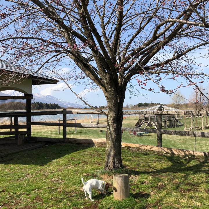 6f24cdec 6afe 4236 b16b 9c46c03439a2 1523511273184