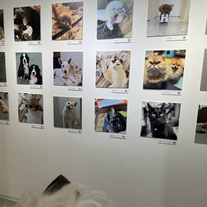 6f24f26e c349 46a3 93a1 80980ce09429 1762054528052