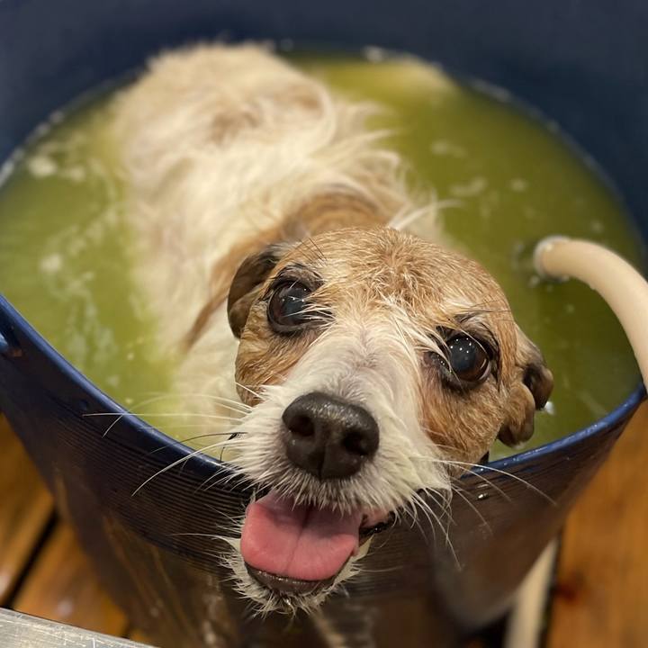 6f24fa48 0f5a 4b9f 9589 cc6551634924 1742426780648