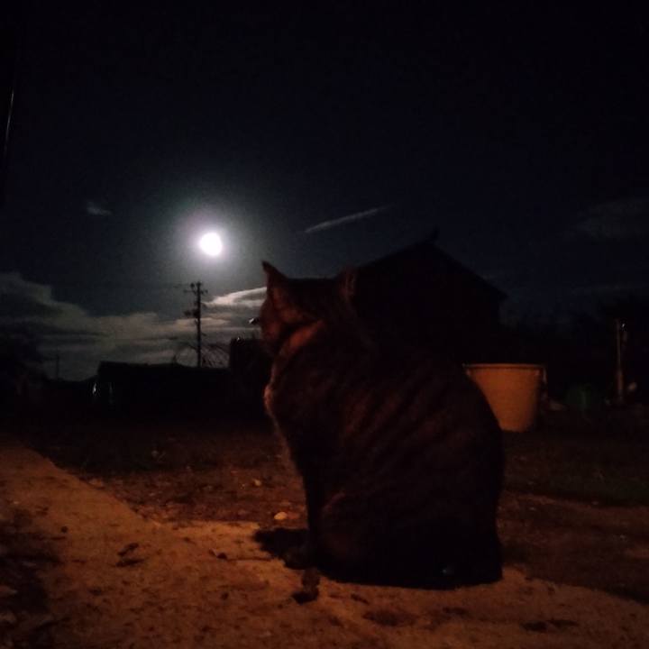 6f251ec4 2371 49b0 839e 68b03b9f6649 1695983274052