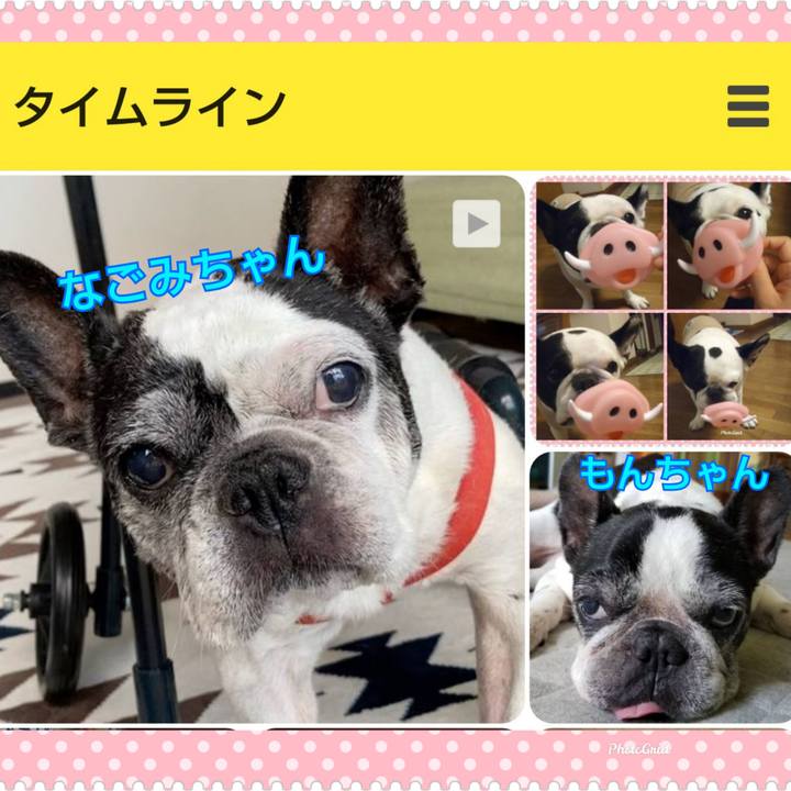 6f25635c cd0a 40e3 86ce 676996f633bc 1661127509513