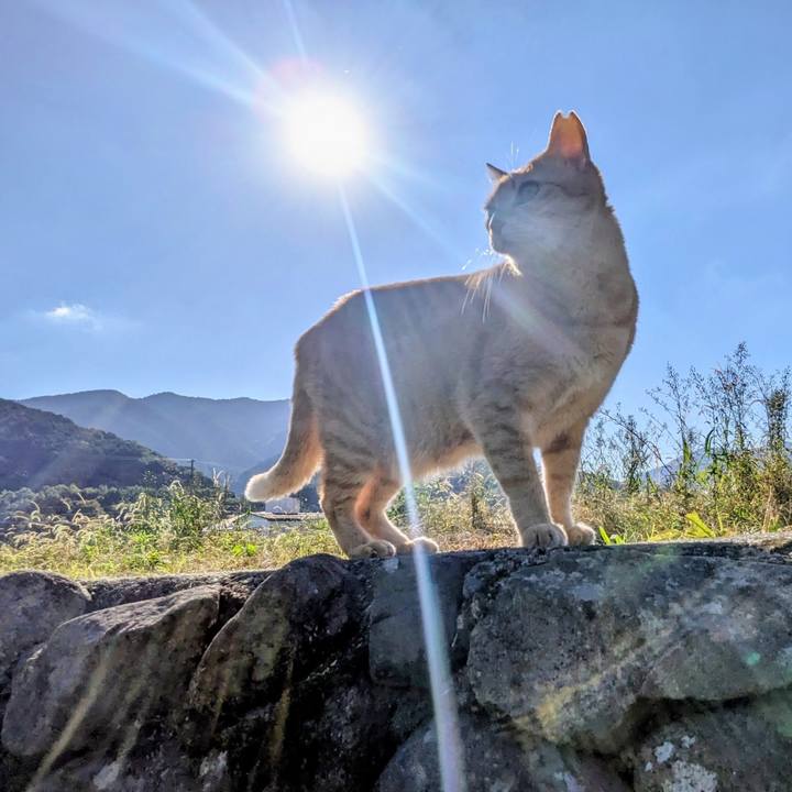 6f256fd9 aa31 4eea be5f 2238e962b55f 1761881285194