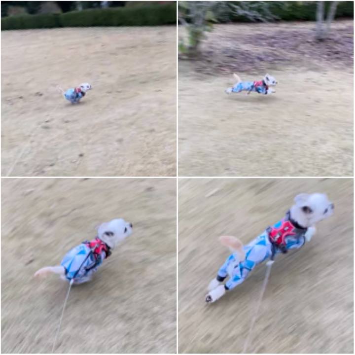 6f258817 c607 49e9 960d 6900f17888a7 1607158799509