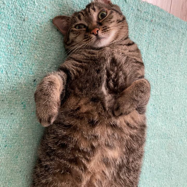 6f2589c5 1846 4bc4 8fc5 bbd66059e583 1657148223325