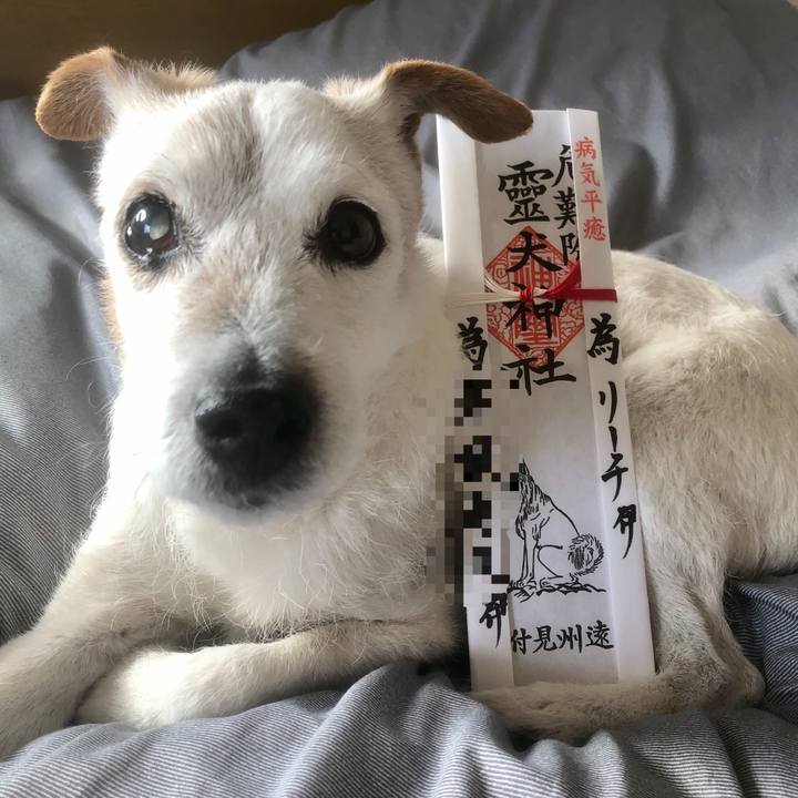 6f25bf80 ac42 4907 85dd b9d7675e2c87 1610780986225