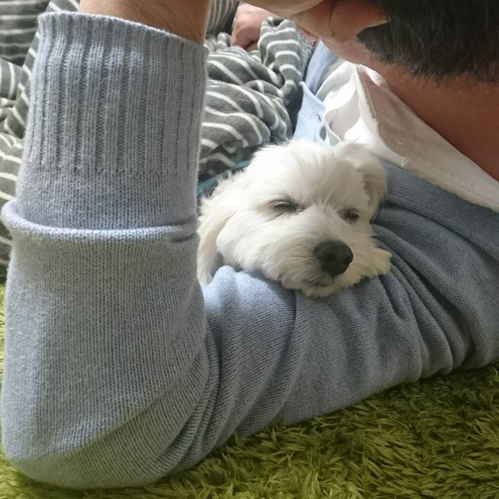 6f260607 7981 4bfd b234 5607ce27af36 1513595814527