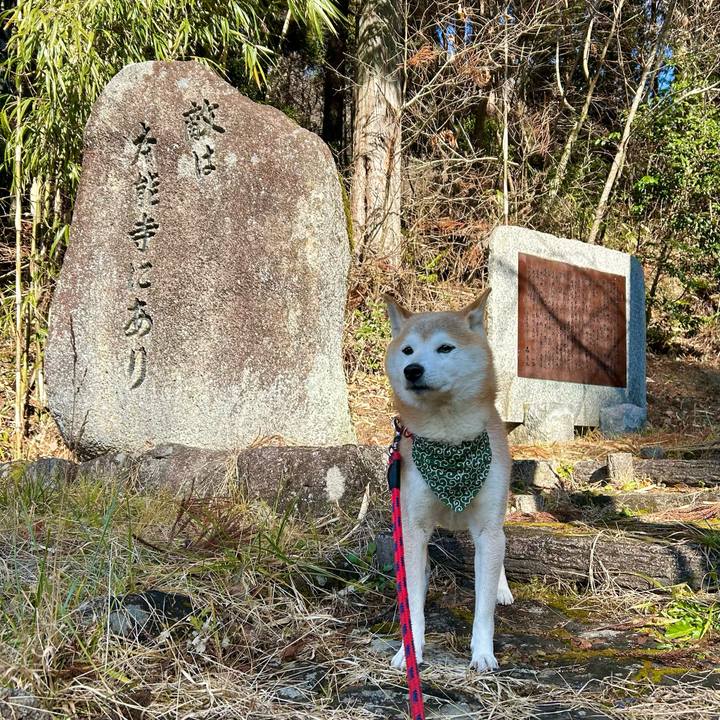 6f265ce9 f307 46c6 86f4 8da924e58ee5 1737027591872