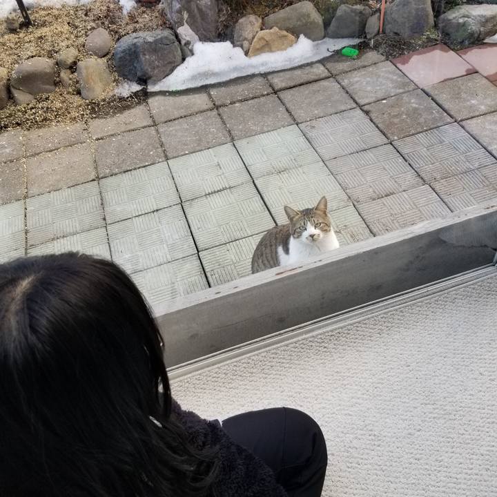 6f265f82 1e47 4f79 9e86 59008d88ba35 1679235909222