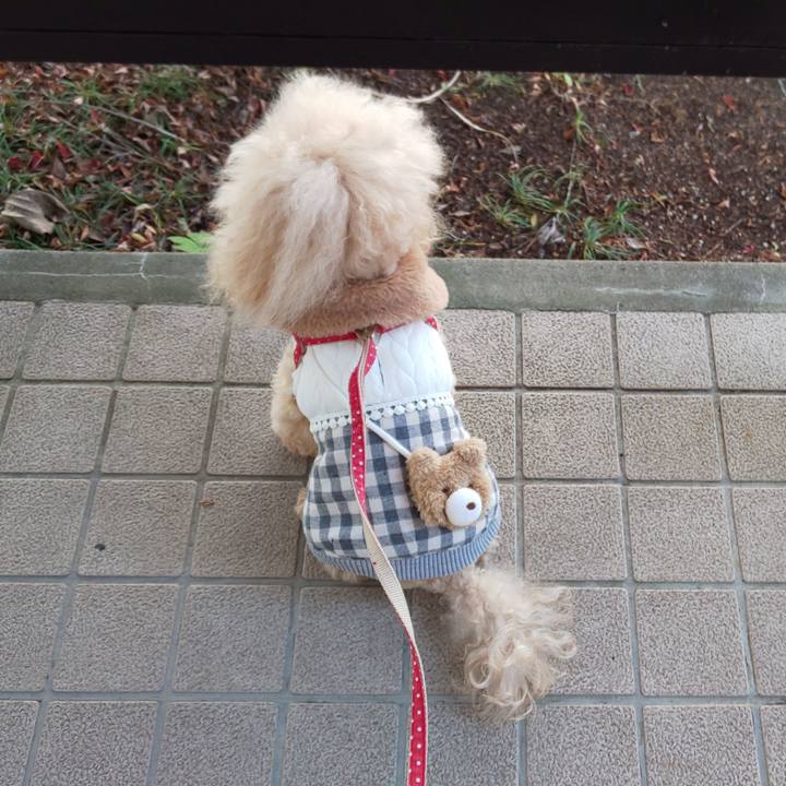 6f269042 08fb 40fd 8abc 15dfcbcbc899 1575978910104