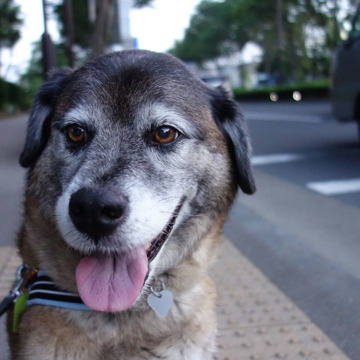 6f2690a6 92bd 4cce 9b2c 002cee107c6b 1527253928544