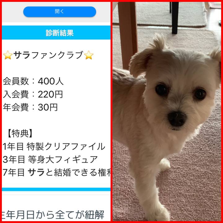 6f26a0d0 9376 4547 8121 b9ad641b316e 1568599961044