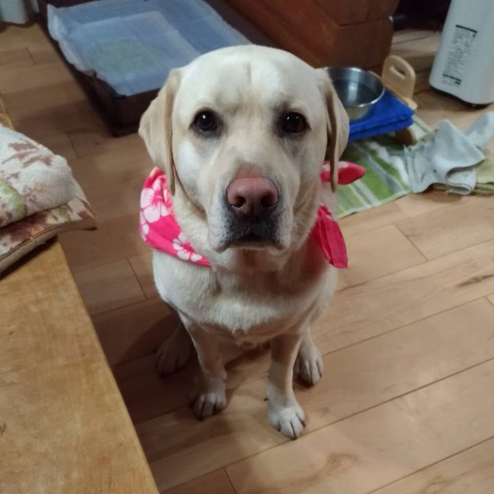 6f26acfe d6e6 4d61 8c73 83048e71b4e1 1550760358442