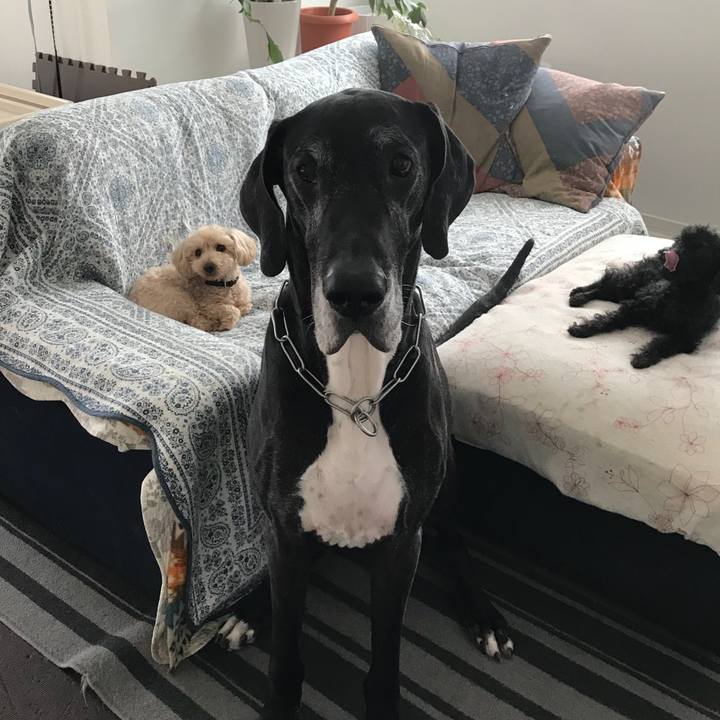 6f26dc63 e13b 441f bdbc c8ddef63082a 1525128378310