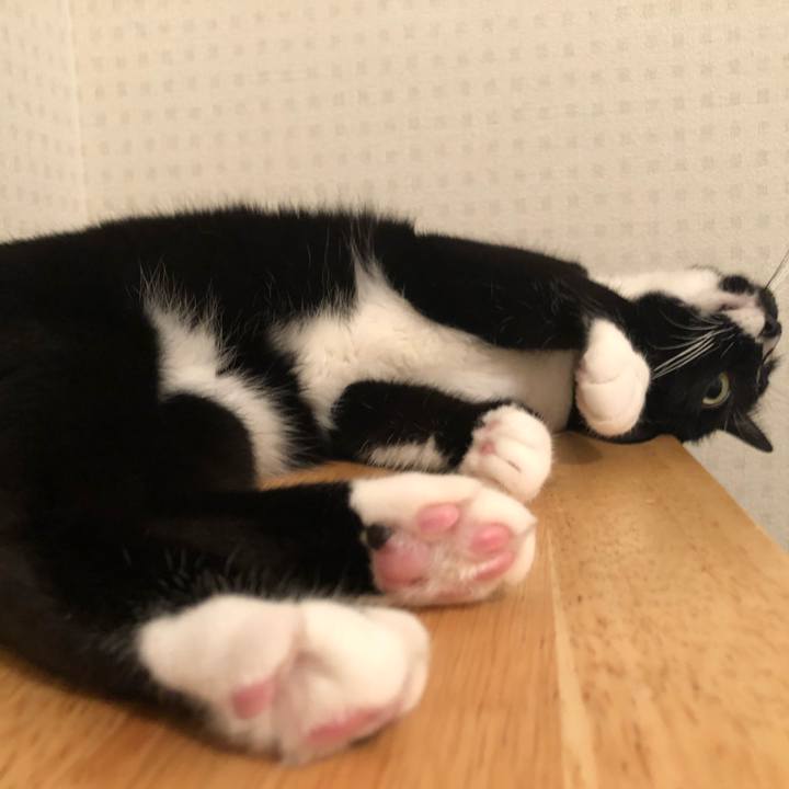 6f26e028 554e 4b5a 818d b8a59bd231d9 1528494706109