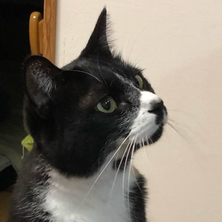 6f26e0e9 5915 4d0b 9805 54b41bcd5968 1602645675183