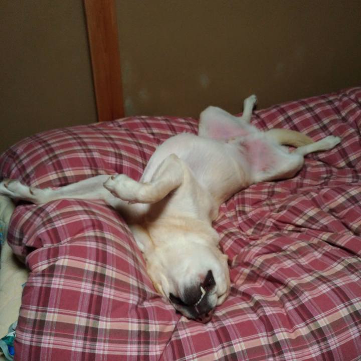 6f26fd4b 1755 4a31 b4c7 3a640545ab10 1607261480057