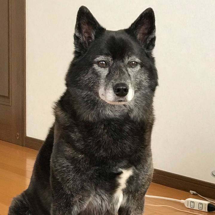 6f273900 6192 4185 91c2 ad759ecb8d70 1555297622057